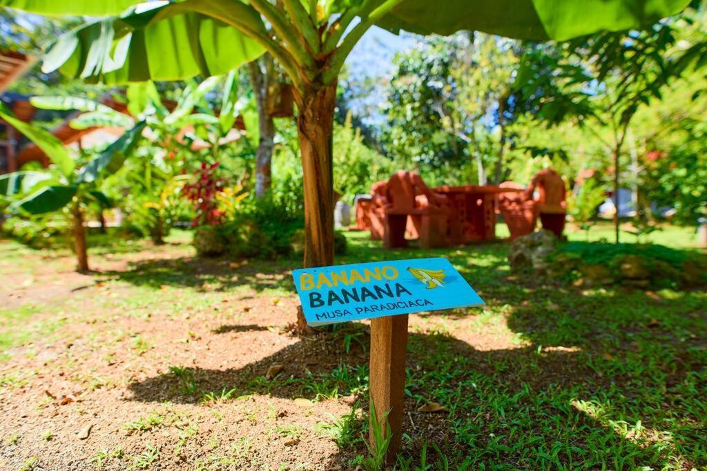 Casa Kristel - Exquisite Villa Getaway Puerto Viejo de Talamanca المظهر الخارجي الصورة