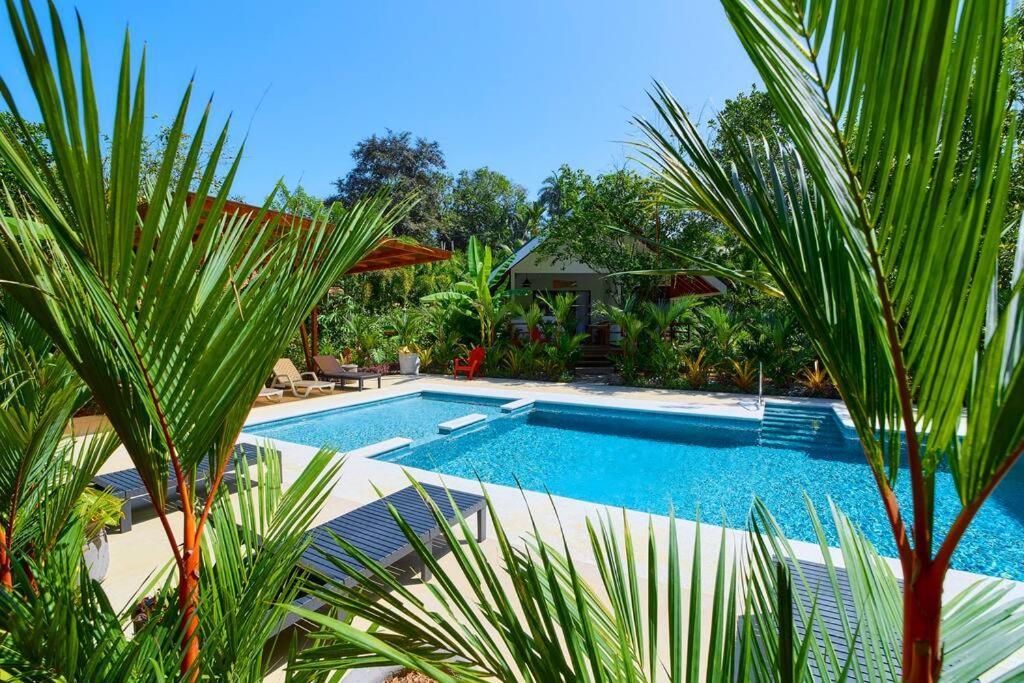 Casa Kristel - Exquisite Villa Getaway Puerto Viejo de Talamanca المظهر الخارجي الصورة