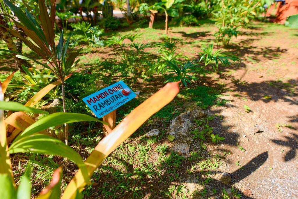 Casa Kristel - Exquisite Villa Getaway Puerto Viejo de Talamanca المظهر الخارجي الصورة